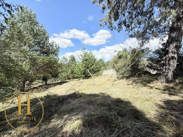 Área para Venda em Campos do Jordão - 5
