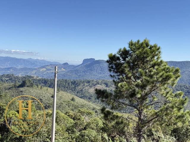#46 - Área para Venda em Campos do Jordão - SP - 3