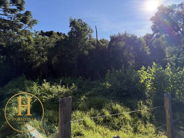 #47 - Área para Venda em Campos do Jordão - SP - 1