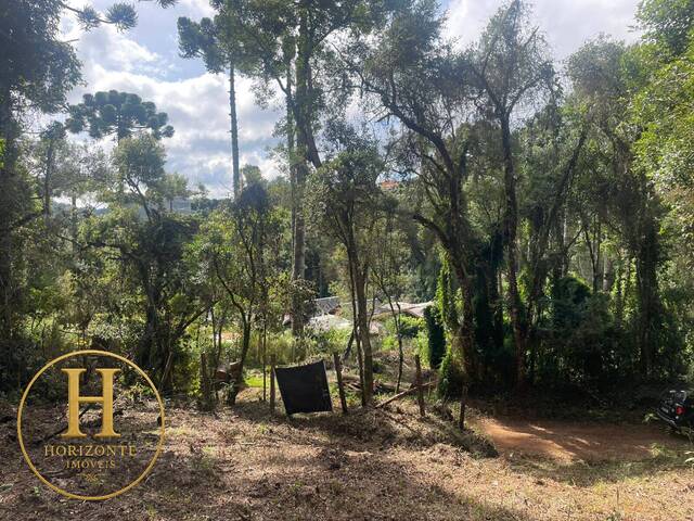 #66 - Área para Venda em Campos do Jordão - SP - 2