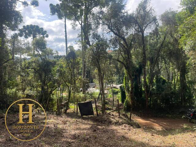 #66 - Área para Venda em Campos do Jordão - SP - 3