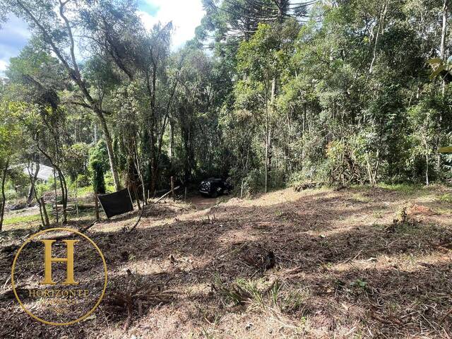 #66 - Área para Venda em Campos do Jordão - SP - 1