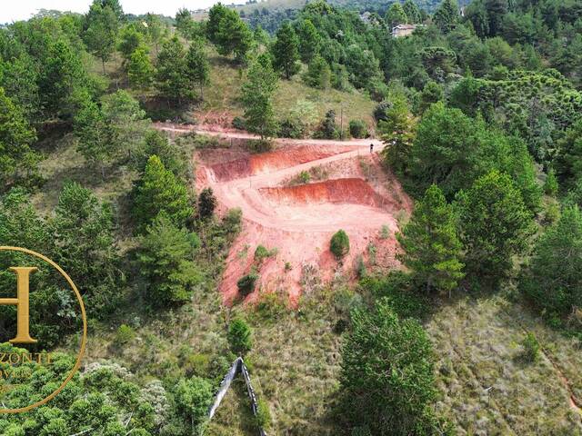 #84 - Área para Venda em Campos do Jordão - SP - 2