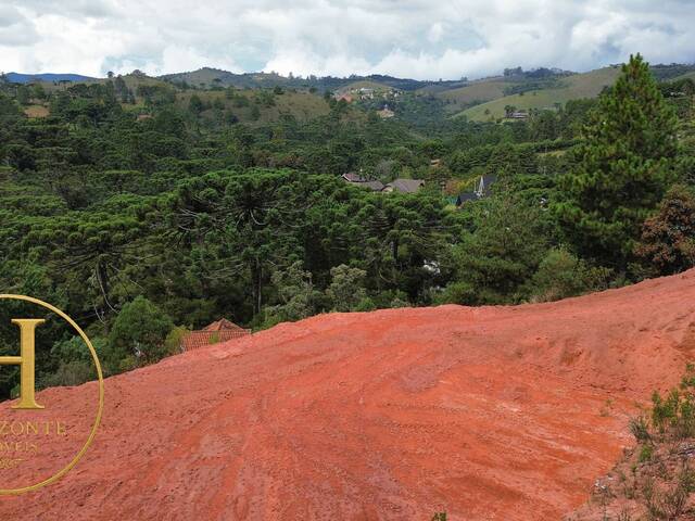 #84 - Área para Venda em Campos do Jordão - SP - 1