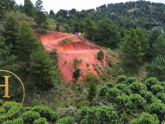 #84 - Área para Venda em Campos do Jordão - SP - 3