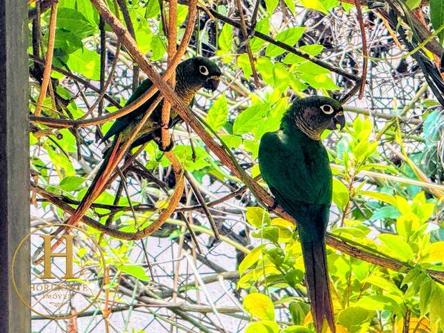 #86 - Casa para Venda em Campos do Jordão - SP - 2